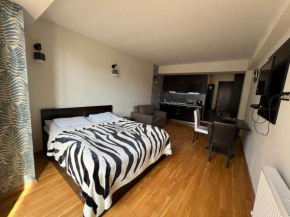 Cozy studio apartment in New Gudauri